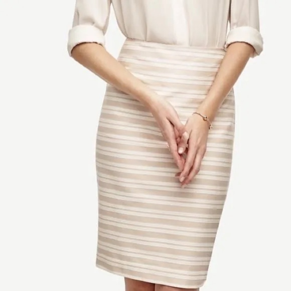 Ann Taylor Pencil Skirt